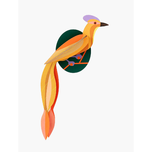 Studio Roof | paradise bird olango wall decor