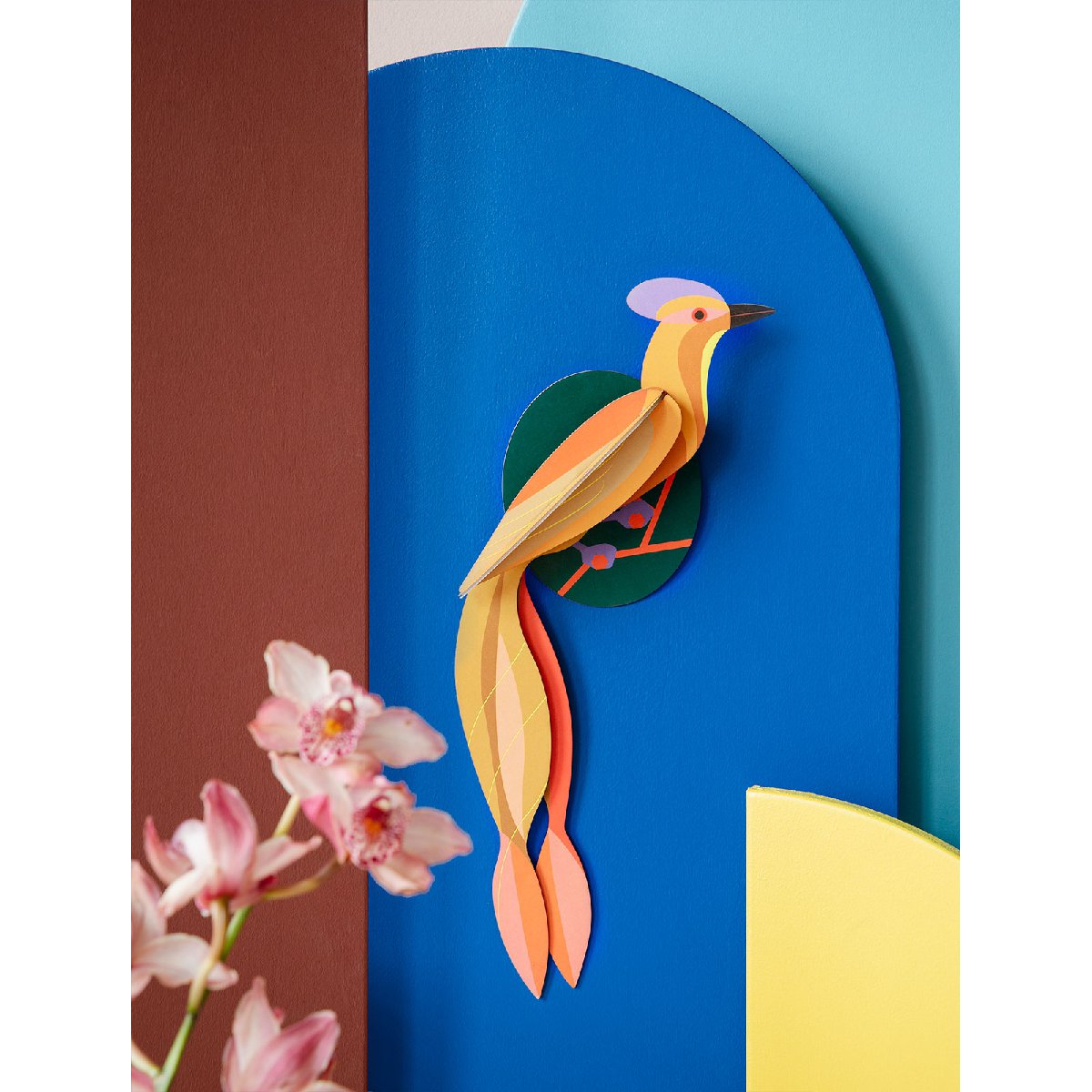 Studio Roof | paradise bird olango wall decor - display