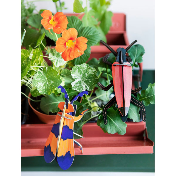 mondocherry - Studio Roof | winged beetle wall decor - plants