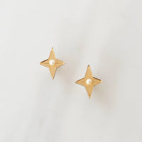 Wolf and Moon | star stud earrings